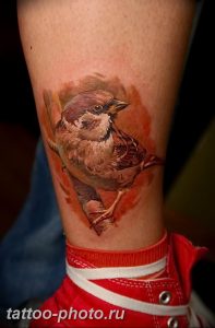 рисунка тату воробей 03.12.2018 №075 - photo tattoo sparrow - tattoo-photo.ru
